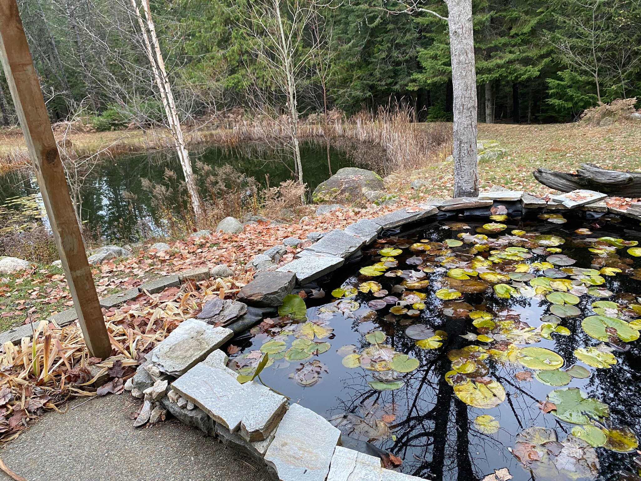 Building Photo - 347 Homestead Loop