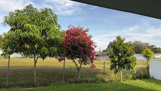 Backyard view - 1420 Alexander Way