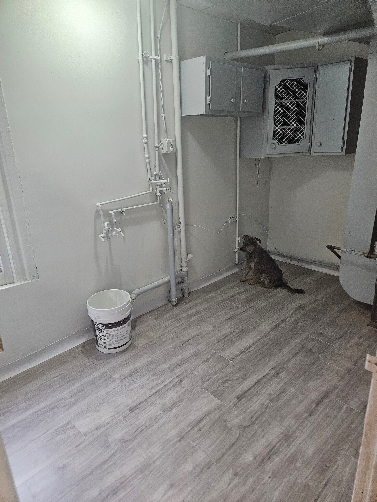 Building Photo - 738 Prospect Ave