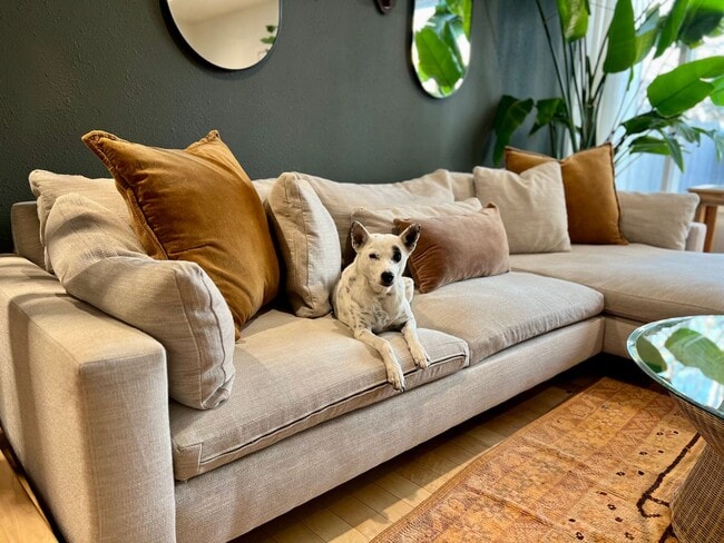Building Photo - Available in July! Pet Friendly Fully Furn...