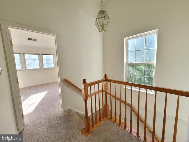 Building Photo - 13115 Rosebay Dr