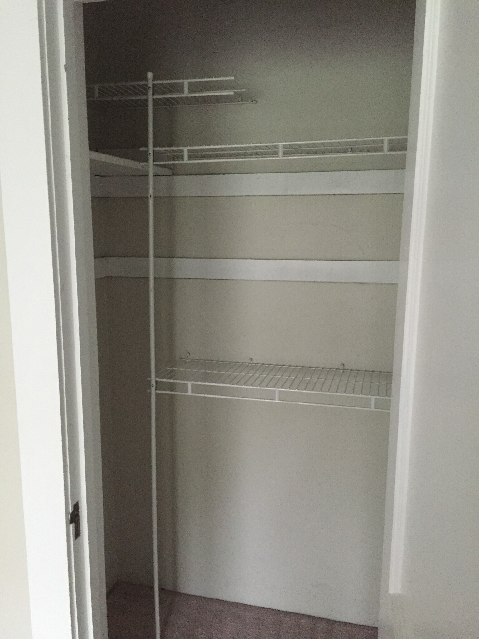 Building Photo - 1919 Plainfield Ave NE