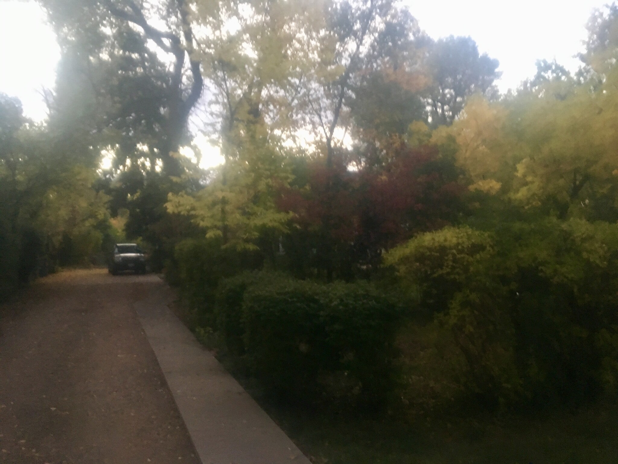 House sits well off the road - 555 Saulsbury St