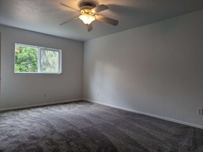 Building Photo - Newly updated 3/2 in North Longmont!