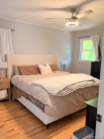 Building Photo - 43 Titmus Dr