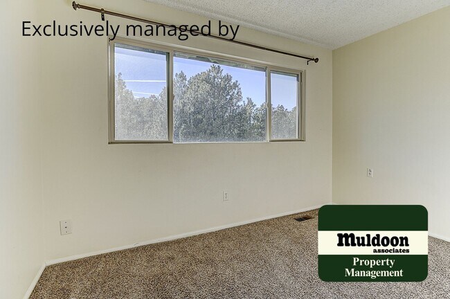 Building Photo - Coming soon, Stunning Black Forest Home!