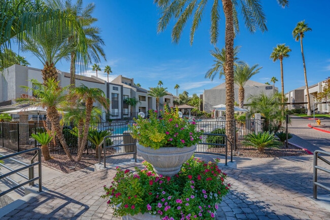 Building Photo - 8570 E McDowell Rd