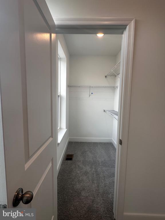 Building Photo - 2504 W Peninsula Dr