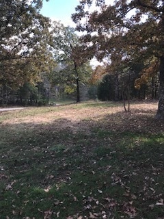 Building Photo - Great home with lots of extras!