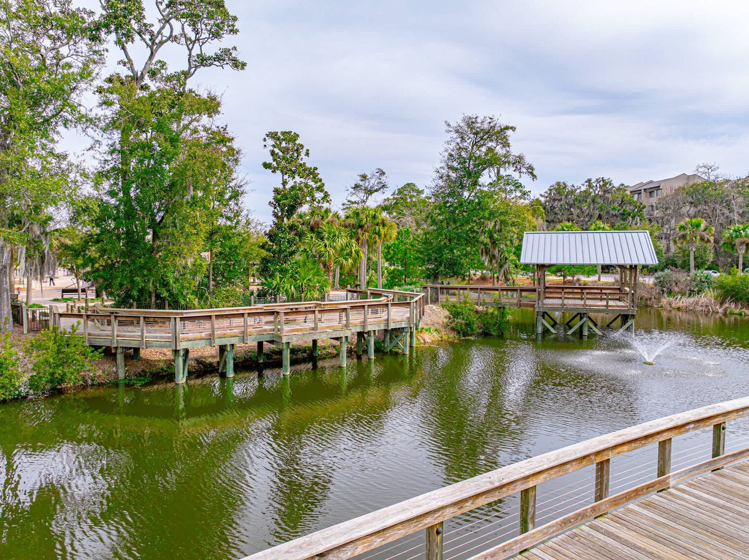 Building Photo - 36 Deallyon Ave