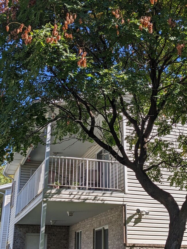 Building Photo - Limited Time Move-In Special! $800 Rent Credit!  2 Bed 1 Bath Condo in Ogden – Available Now!