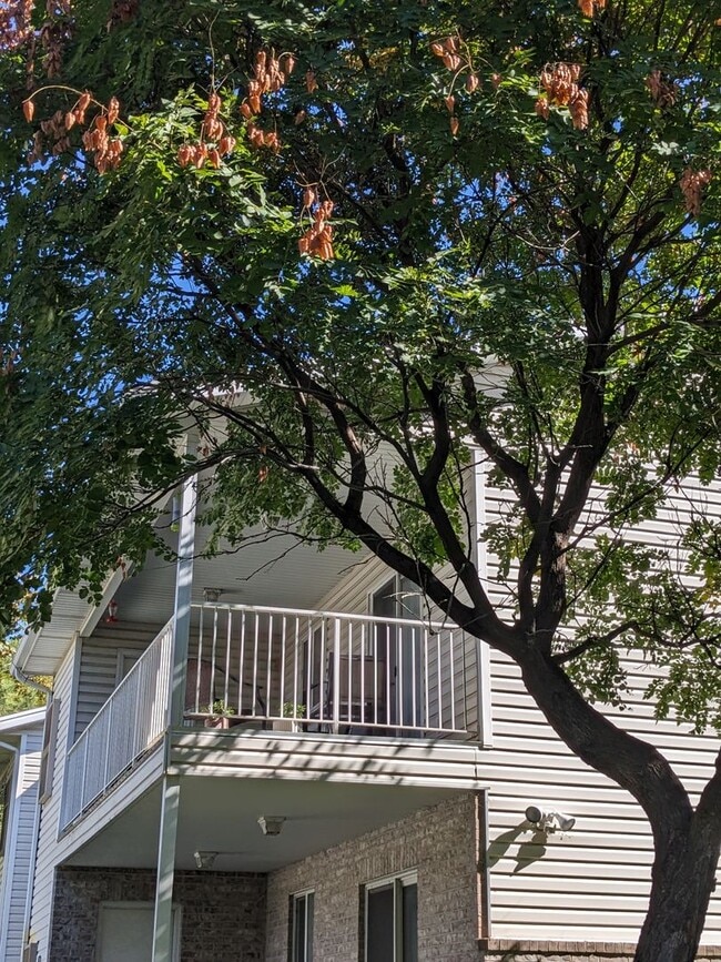 Building Photo - Must See! $800 Amazon Gift Card Upon Move In! 2 Bed 1 Bath Condo for Rent in Ogden