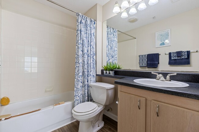 Bathroom with Ample Lighting - Cherry Grove Commons Apartments