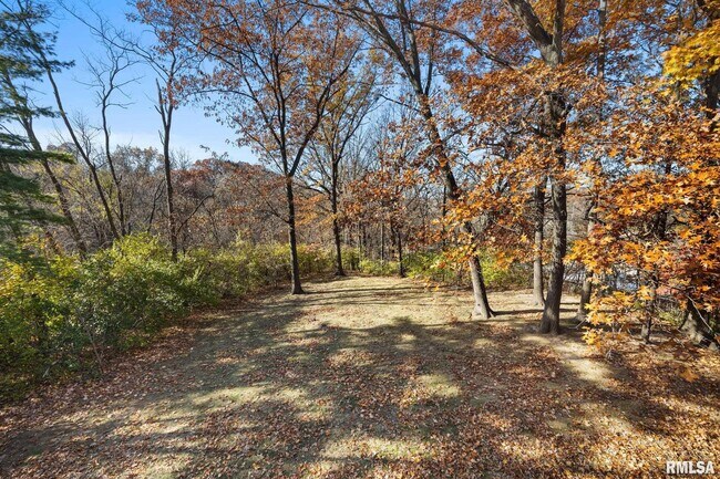 Building Photo - 2913 W Cannes Dr