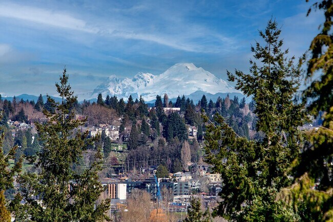 Building Photo - Capitol Hill View Home