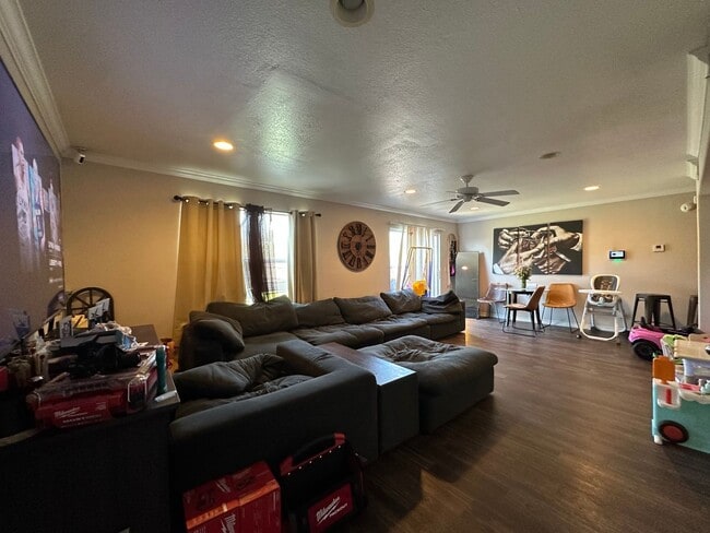 Building Photo - 2535 Pascal Ct