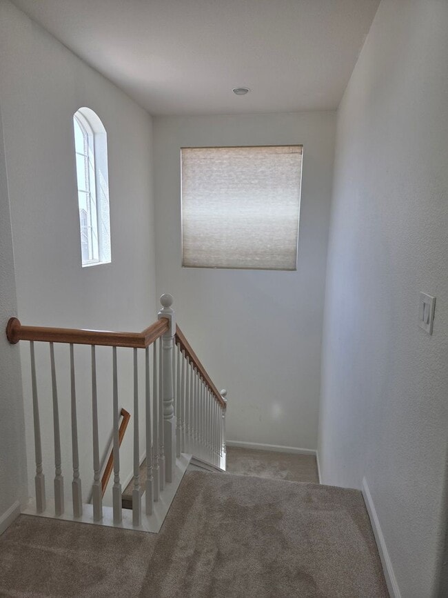 Building Photo - 1648 Little Rock Cir