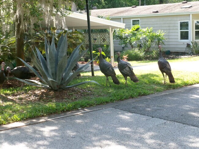 Building Photo - 4 Gentle Ben Path