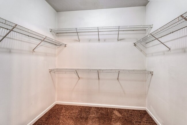 Building Photo - 4838 Montclair Hill Ln