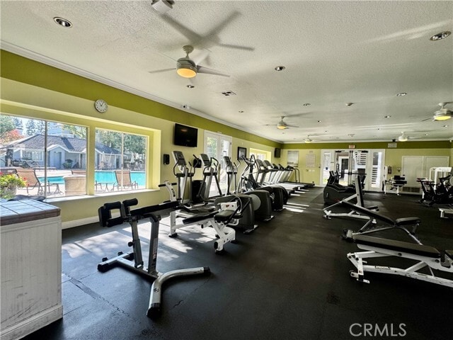 Building Photo - 23412 Pacific Park Dr