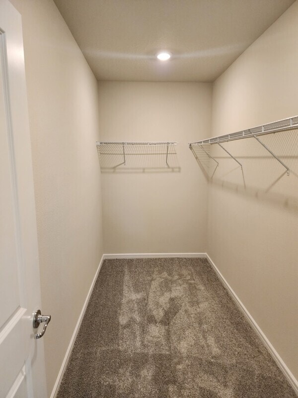 Building Photo - 1634 Delightful Dr