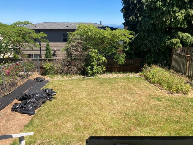 Backyard - 2718 37th Ave SW