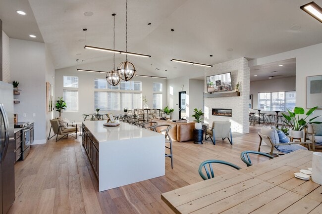 Interior Photo - The 240 Apartments