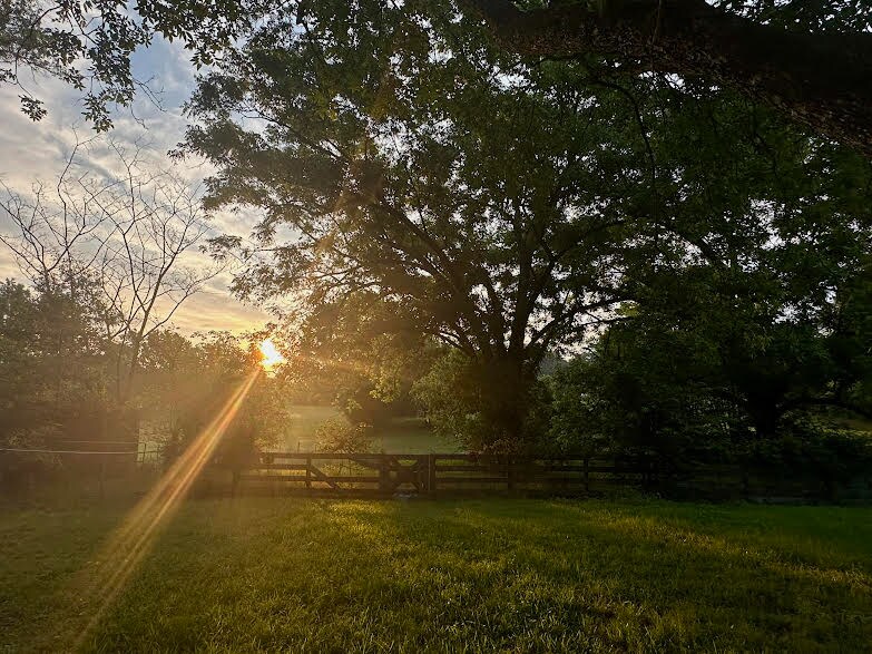 Building Photo - 14757 County Rd 1125