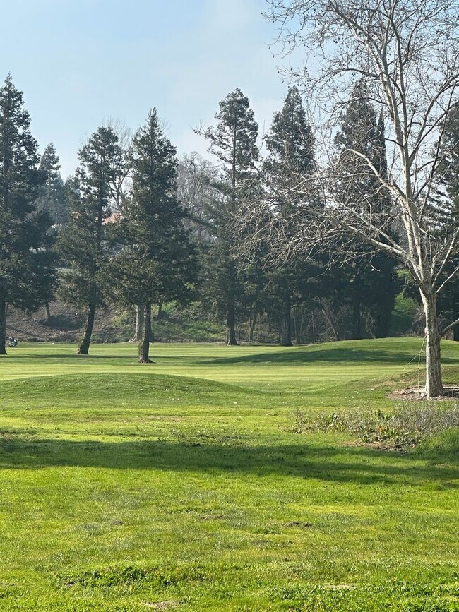 Building Photo - 891 St Andrews Dr