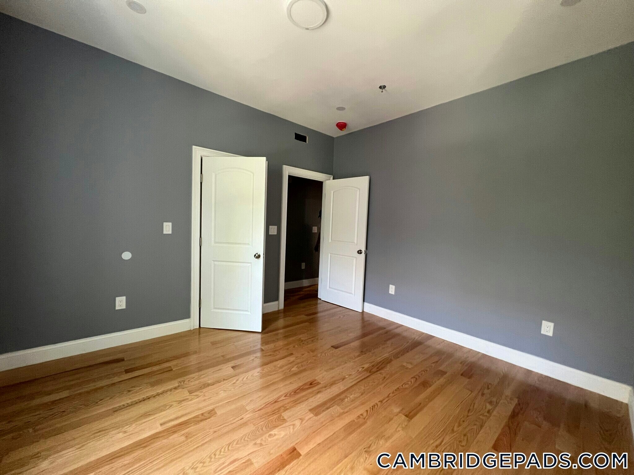 Building Photo - 339 Cambridge St