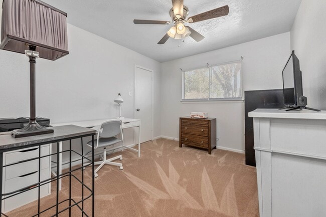Building Photo - 3400 Timberline Ct