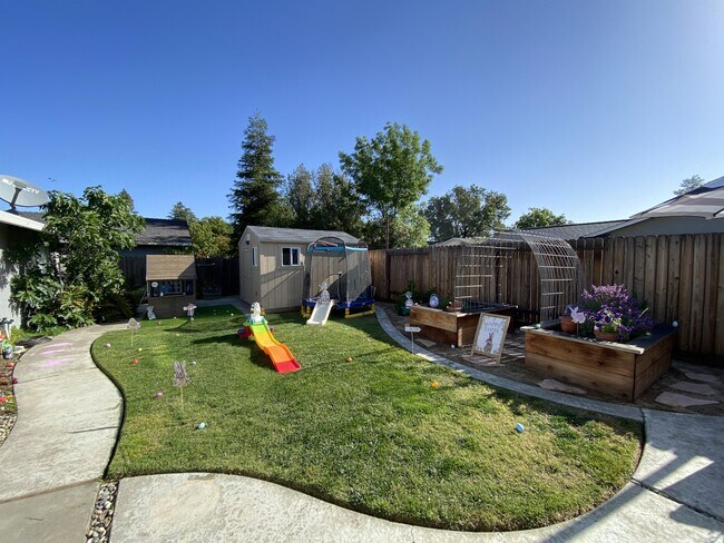 Building Photo - 1713 El Paseo Dr