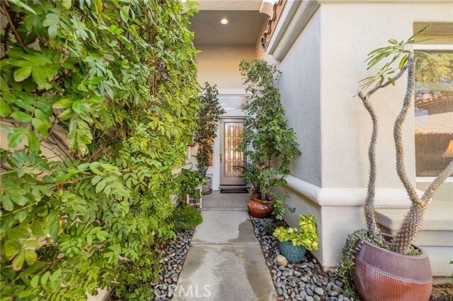 Building Photo - 78739 Iron Bark Dr