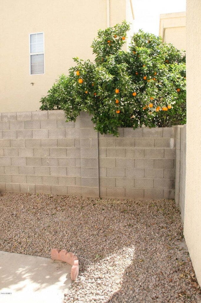Building Photo - Two Bedroom in Tempe