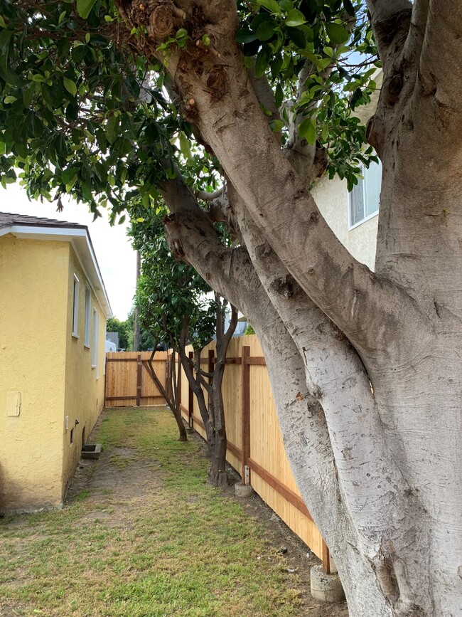 Side yard - 12634 Pacific Ave