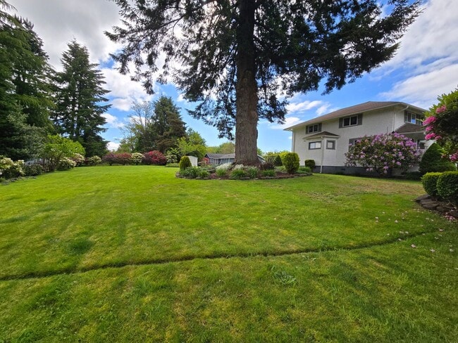 Building Photo - Montesano Historic Home for Rent
