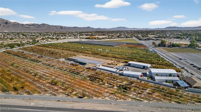 Building Photo - 8113 Celina Hills St