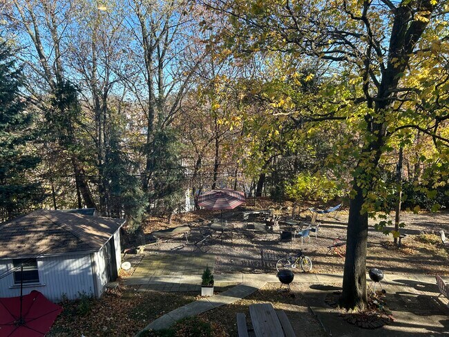 Shared Backyard - 828 Parker St