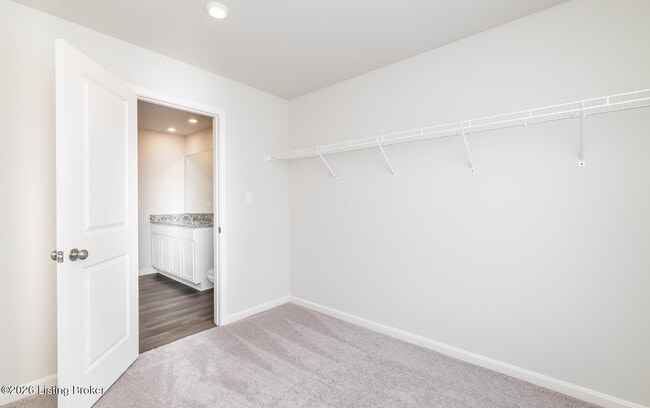 Building Photo - 104 Cool Crk Ct