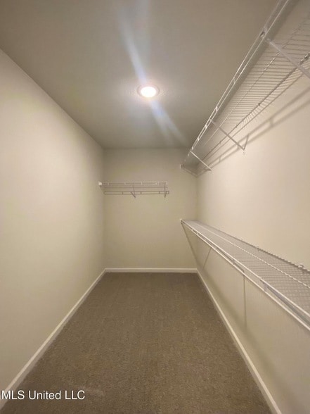 Building Photo - 3160 Magnolia Bloom Dr