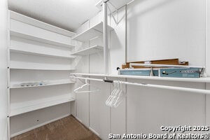 Building Photo - 8730 Timber Cloud St