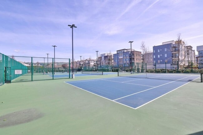 Building Photo - Milpitas Penthouse Condo 2 bed / 2 bath, m...