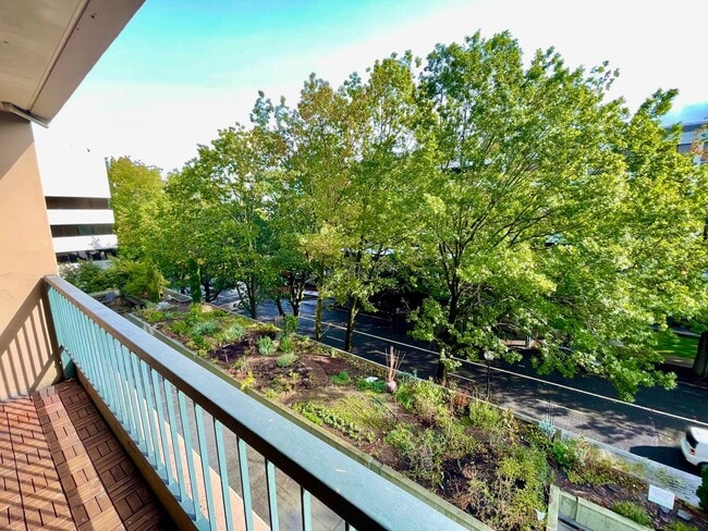 Building Photo - Modern 2-Bed, 2-Bath Downtown Condo with P...