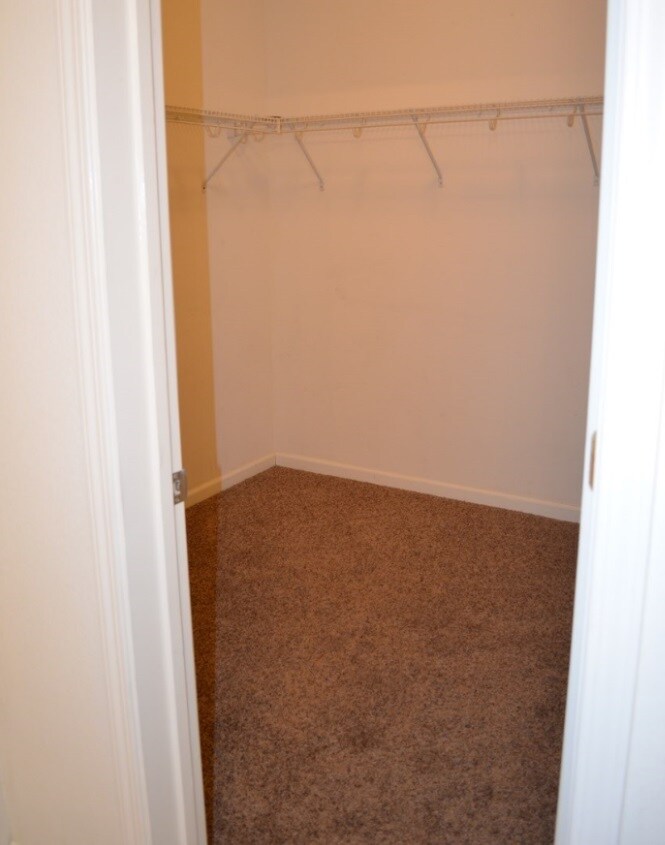 Building Photo - 1360 Shady Ln