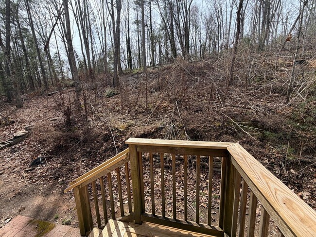 Building Photo - East AVL - Wooded Lot, Three Bedrooms