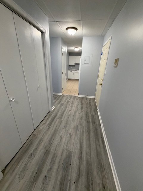 Building Photo - 205 Plum St