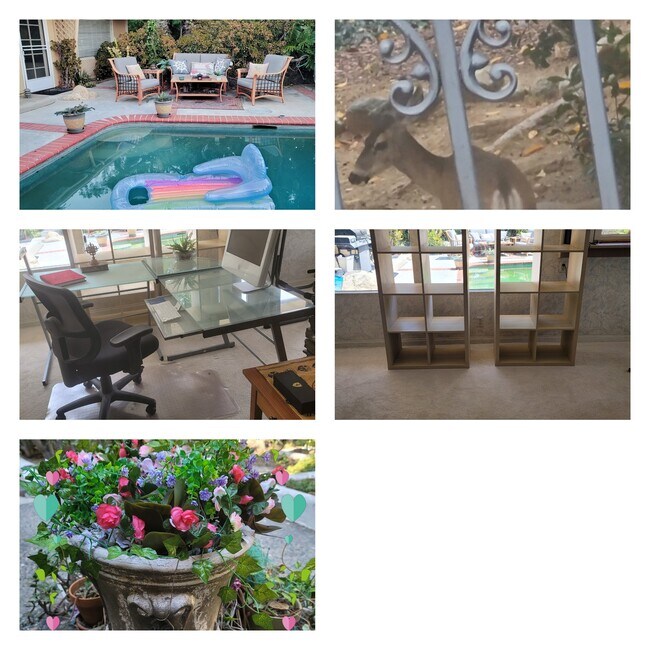 Random - 2250 Brambling Ln