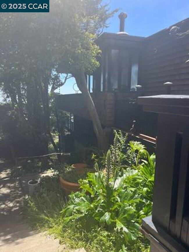 Building Photo - 449 Burnett Ave