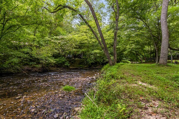 Building Photo - 1519 Tipton Springs Rd