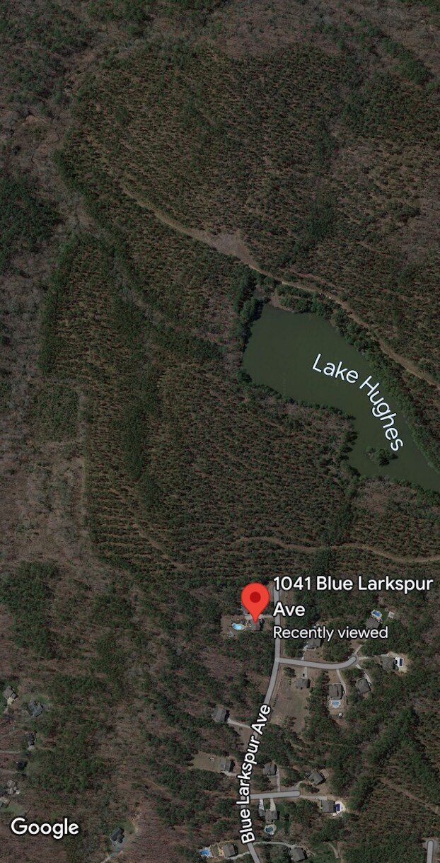 Building Photo - 1041 Blue Larkspur Ave